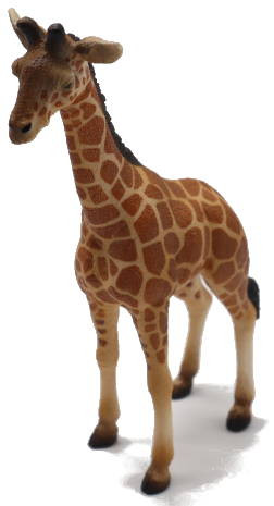 Mojo Giraffe Calf - Front Angle View